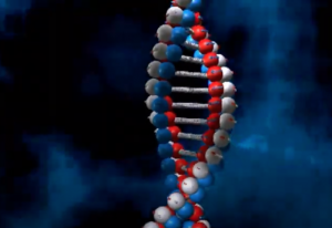 Screen-Shot-2022-03-28-at-1.07.27-AM-e1648451331227